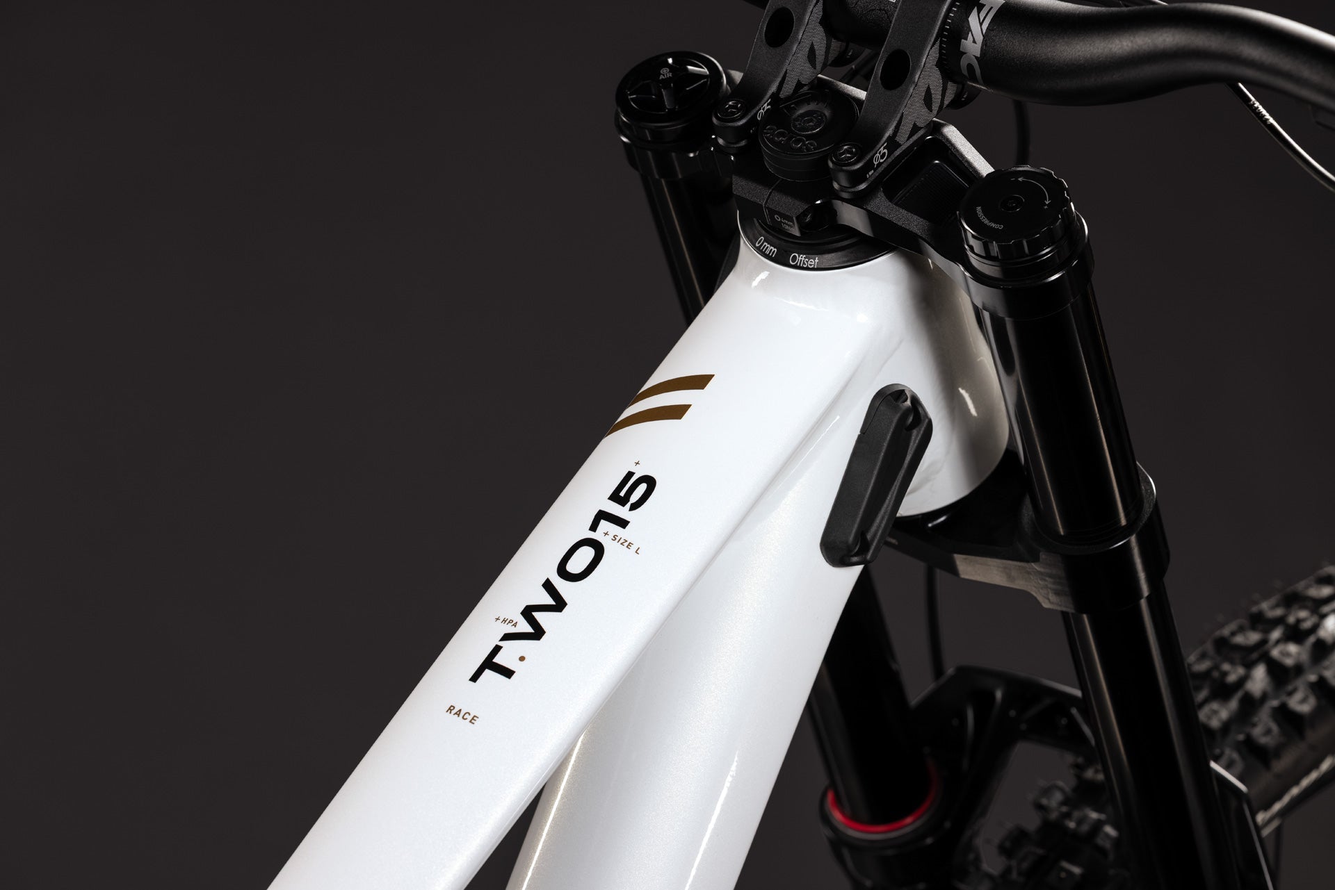 Cube TWO15 Race powdergold´n´black