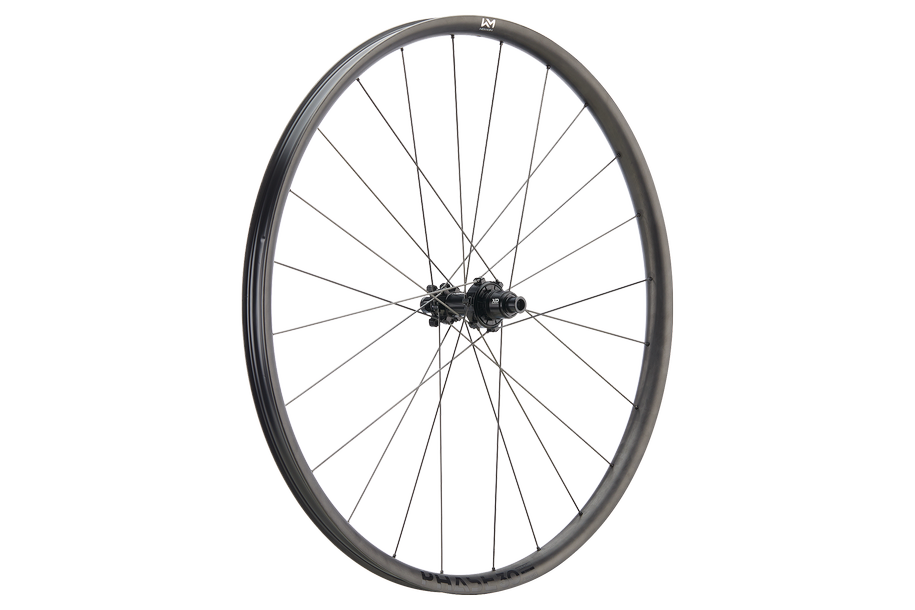 NEWMEN Ruota Phase 30 light VONOA 29" 24h FADE CS SP 6B 12x148
