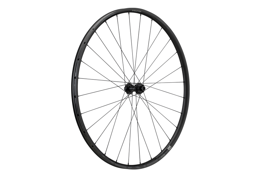 NEWMEN Ruota Evolution SL X.R.25 29" 28h Fade R SP CL 12x100