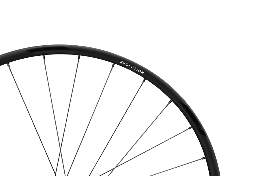 NEWMEN Ruota Evolution SL X.R.25 29" 28h Fade R SP CL 12x100