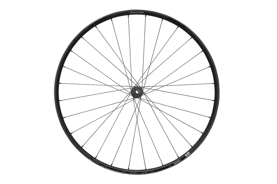 NEWMEN Ruota Evolution SL X.R.25 29" 28h Fade R SP CL 12x100