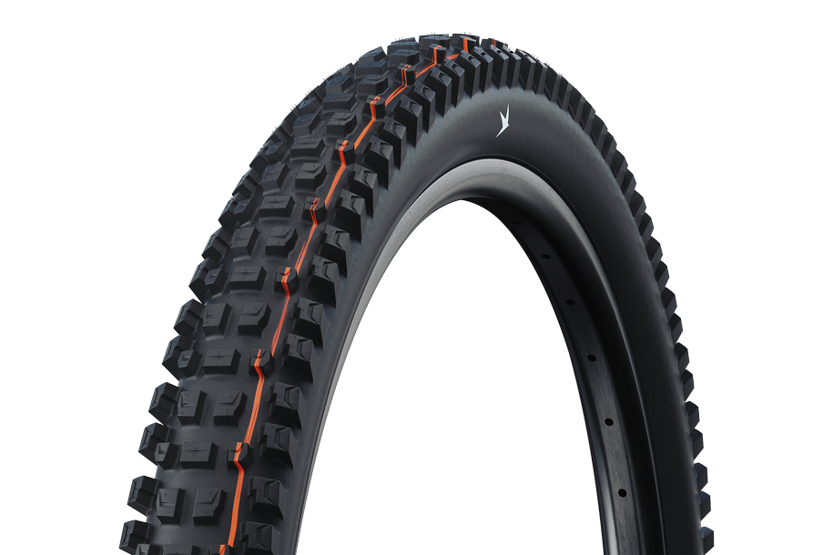 SCHWALBE ALBERT Evo, GRAVITY PRO, TLR 29x2.60 (65-622)
